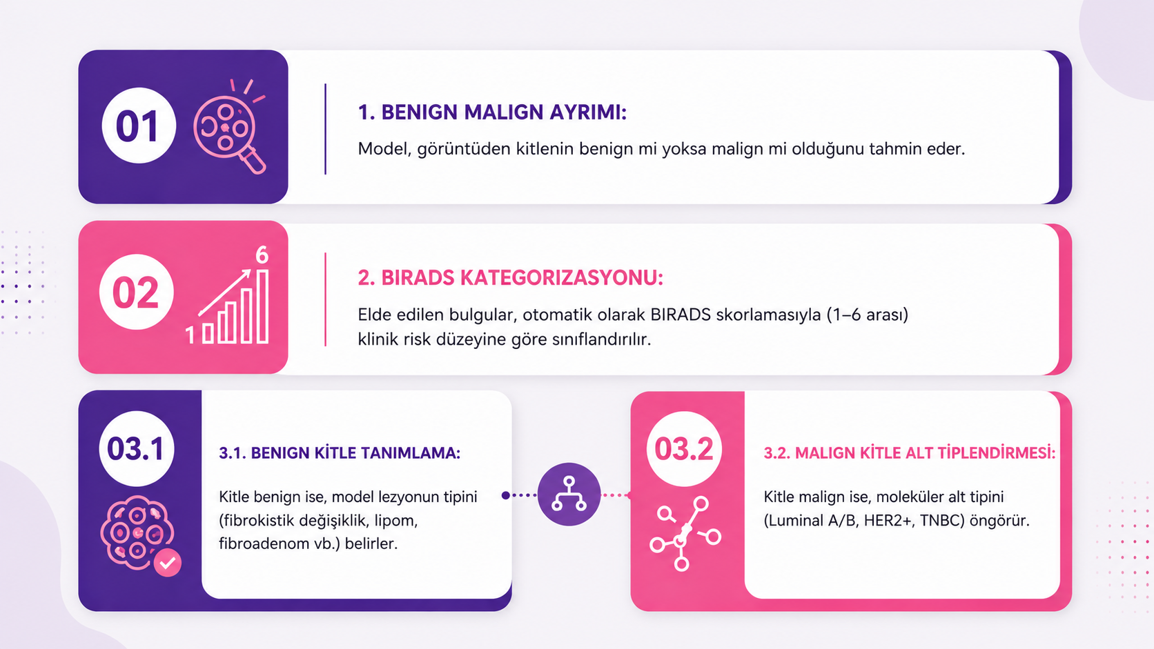 BRAIVO çözüm ve ürün görseli