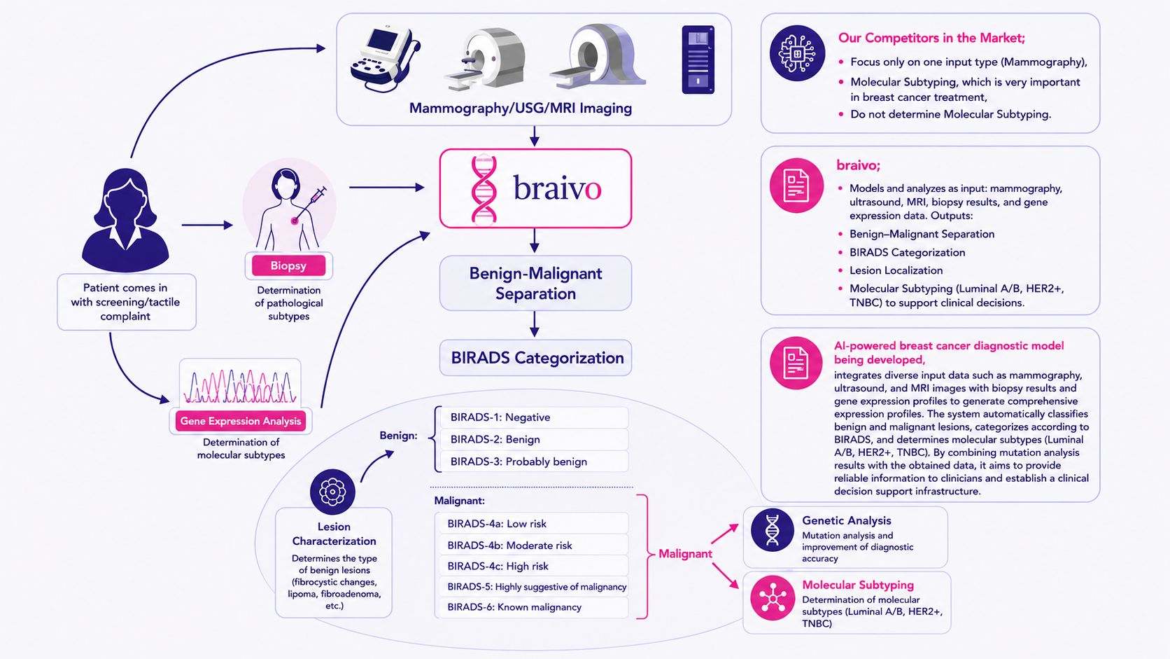 BRAIVO solution workflow illustration