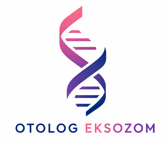 Otolog Eksozom